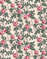 Wallpaper Pompadour Roses – Papier Peint Roses Pompadour – 75A