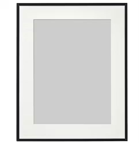 Frame for Antoinette Poisson Domino Paper Black 16x20 - french.us