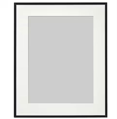 Frame for Antoinette Poisson Domino Paper Black 16”x20” thin - french.us