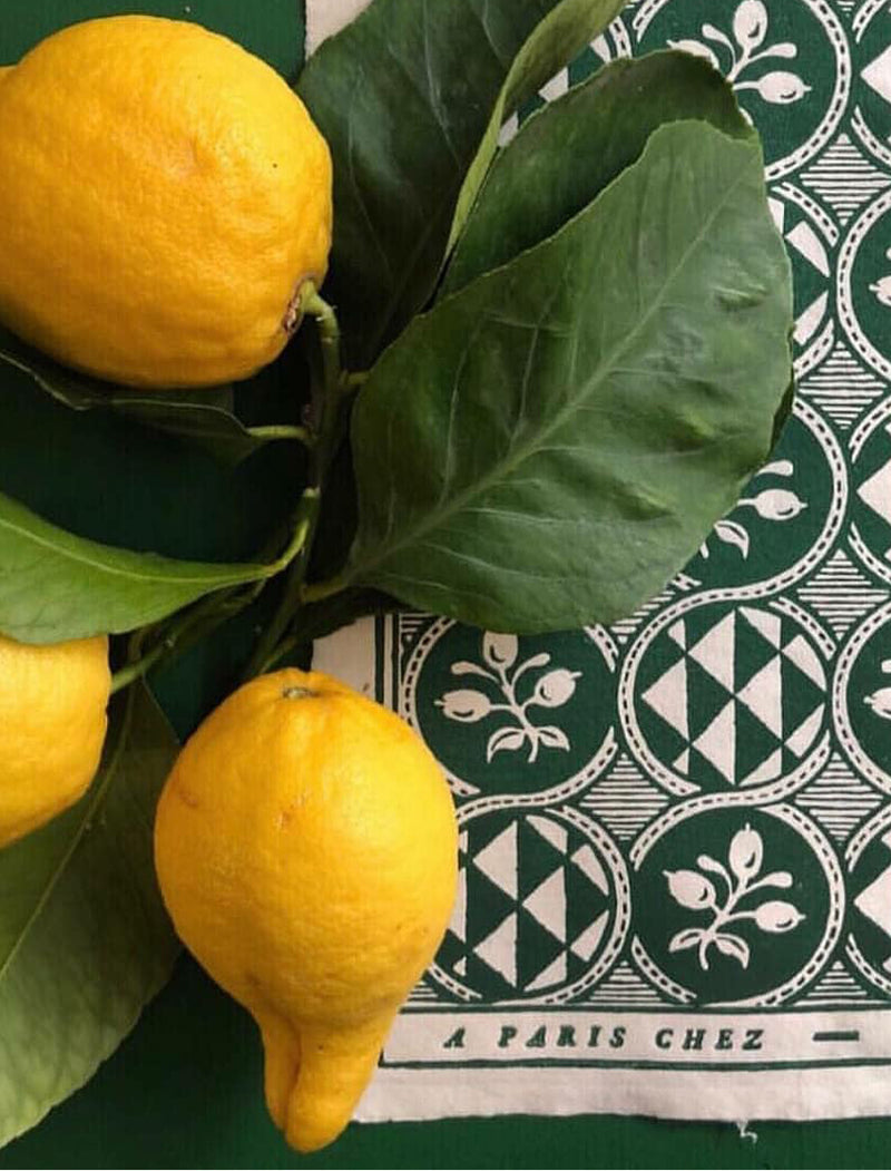 Domino Paper - Olives 55A