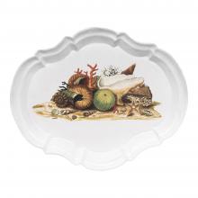 Shells 1754 Platter John Derian