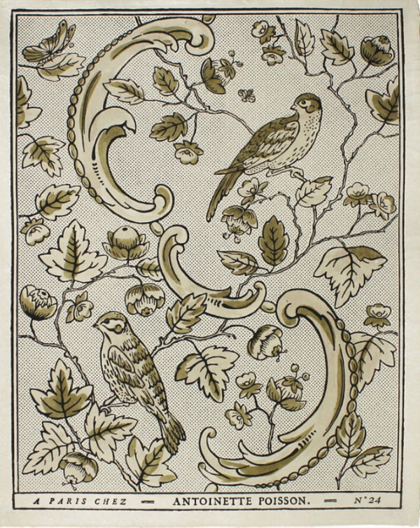 Domino Paper - Oiseaux 24B Gold - French inc