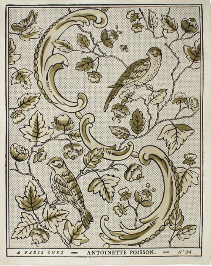 Domino Paper - Oiseaux 24B Gold - French inc