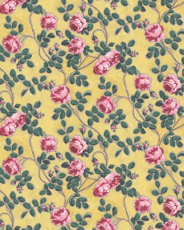 Wallpaper - 75C Roses Pompadour Yellow - french.us