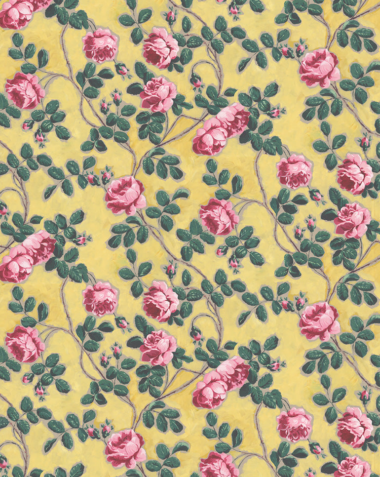 Wallpaper Sample "Roses Pompadour"