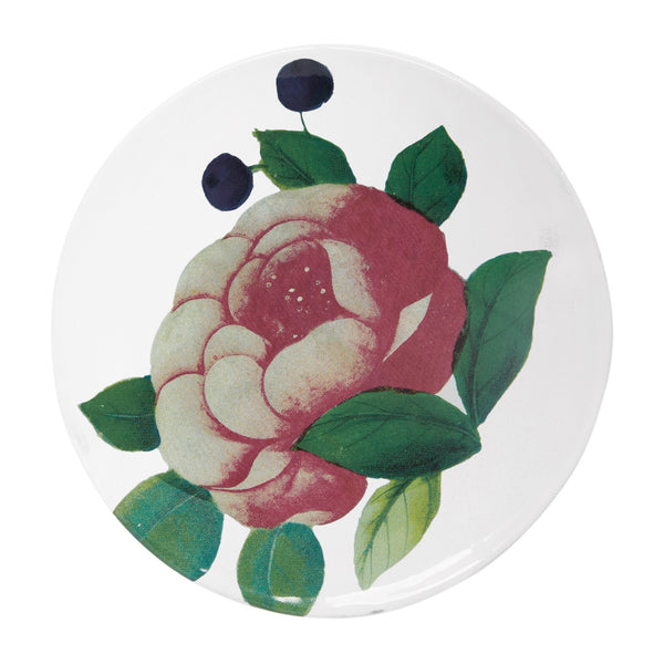 18th c Fan / Voluptuous Rose Plate John Derian SSCJHN34