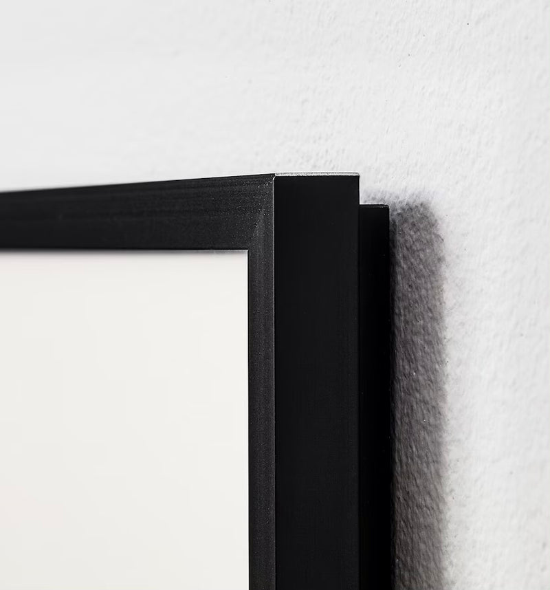 Frame for Antoinette Poisson Domino Paper Black 16”x20” thin