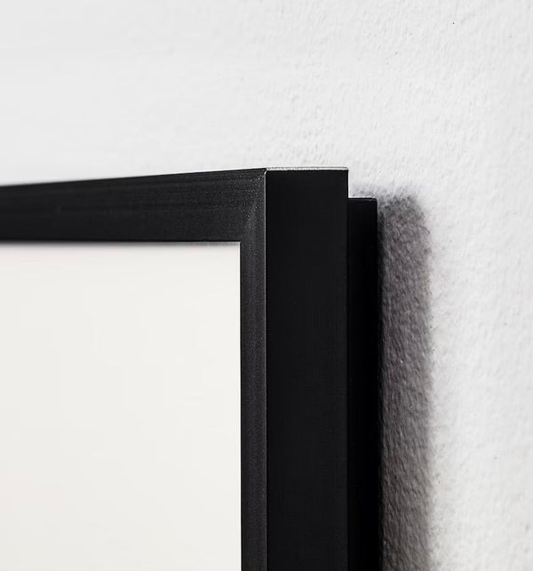 Frame for Antoinette Poisson Domino Paper Black 16x20 - french.us 2