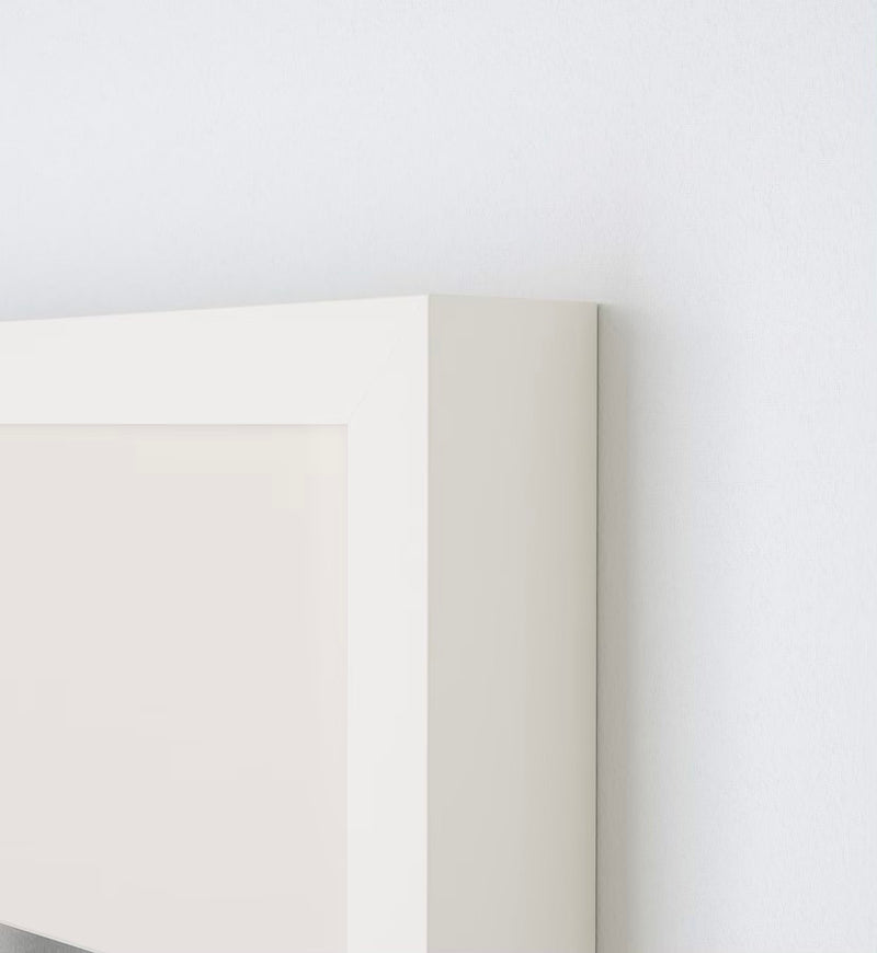 Frame for Antoinette Poisson Domino Paper White 16”x20” - french.us 2