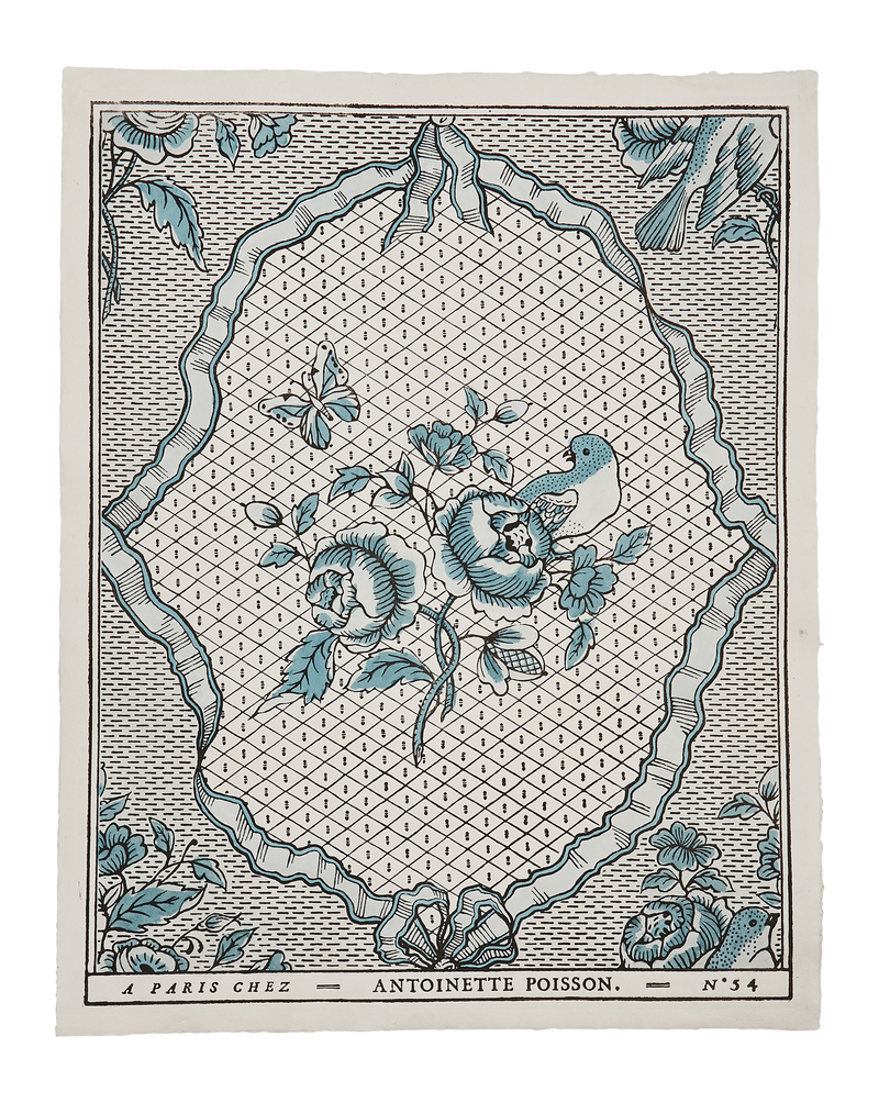 Domino Paper - Rubans & Oiseaux 54B
