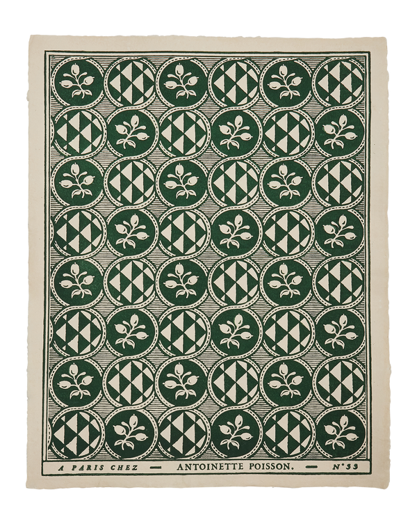 Domino Paper - Olives 55A