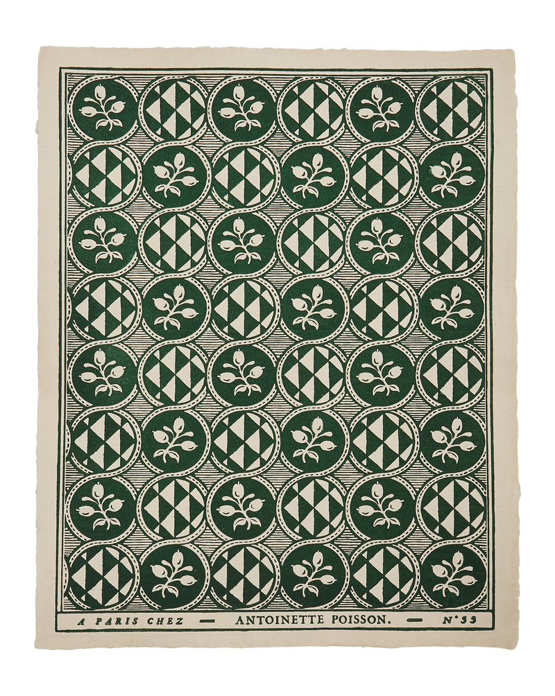 Domino Paper - Olives 55A
