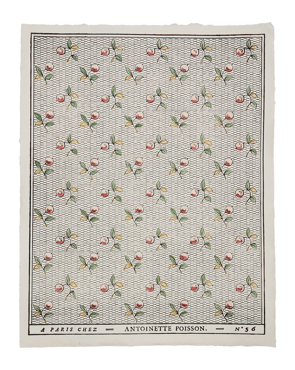 Domino Paper - Baies 56A