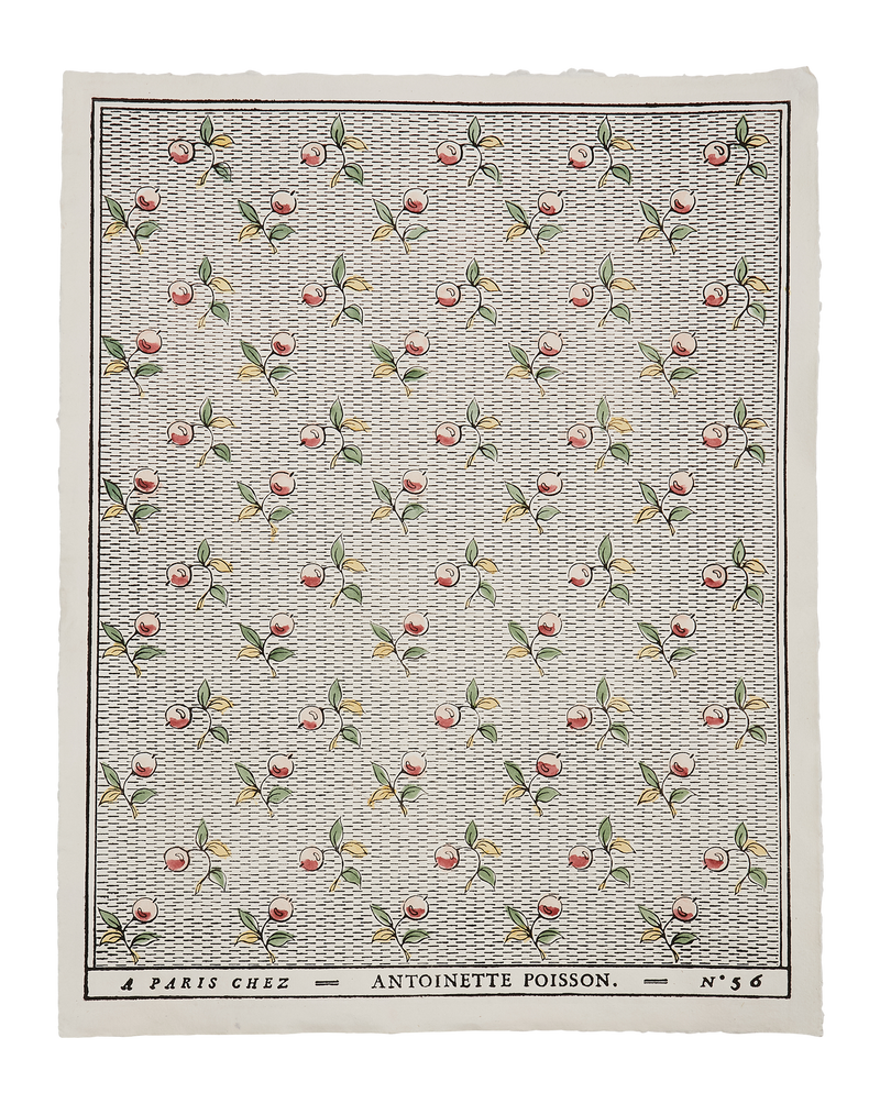 Domino Paper - Baies 56A