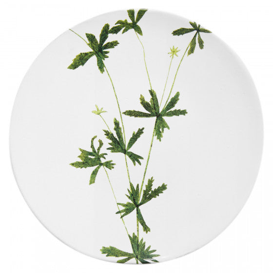 Tormentilla Plate