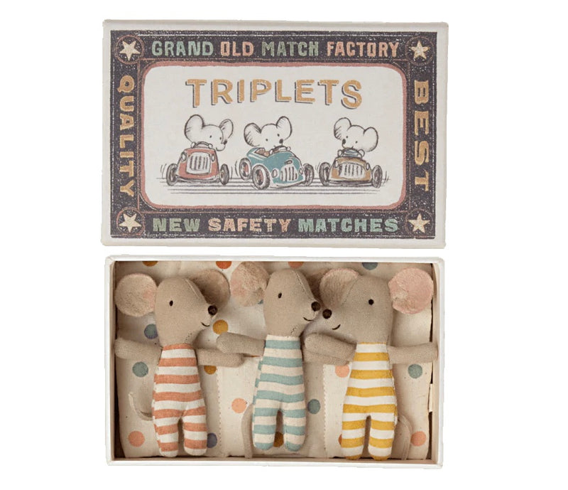 Triplets Baby Mice in Matchbox - french.us