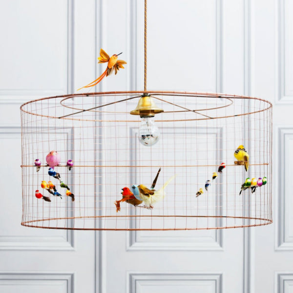 Semi Large Aviary Suspension - French inc