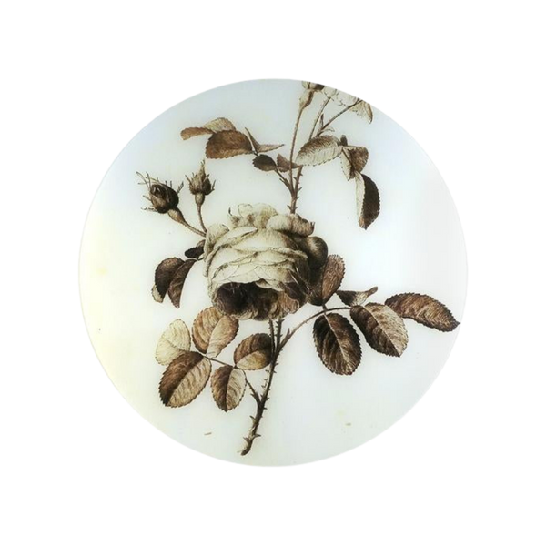 Plate Round Sepia Rose - 16'' - French inc